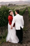 Walking in the vineyard.jpg